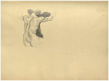 Visualizza l'immagine "FD Album 12, 17 r."